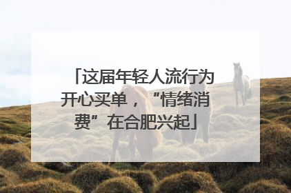 这届年轻人流行为开心买单，“情绪消费”在合肥兴起