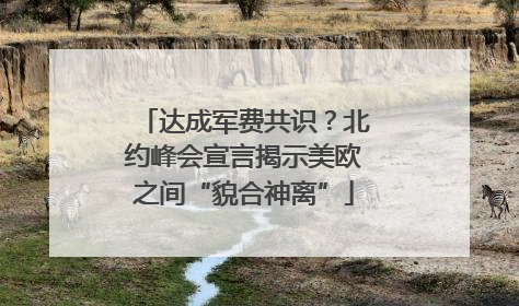 达成军费共识？北约峰会宣言揭示美欧之间“貌合神离”