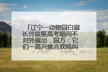 辽宁一动物园白眉长臂猿猴高考期间不对外展出，园方：它们一高兴就喜欢鸣叫，怕影响考试