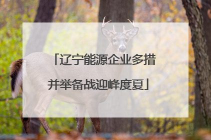 辽宁能源企业多措并举备战迎峰度夏