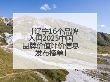 辽宁16个品牌入围2025中国品牌价值评价信息发布榜单