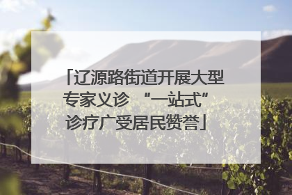 辽源路街道开展大型专家义诊 “一站式”诊疗广受居民赞誉