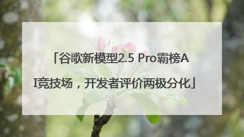谷歌新模型2.5 Pro霸榜AI竞技场，开发者评价两极分化