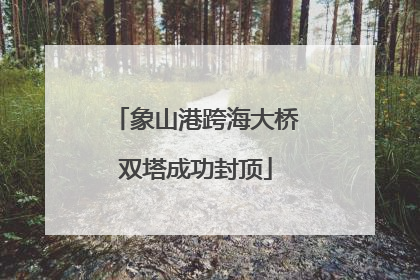 象山港跨海大桥双塔成功封顶