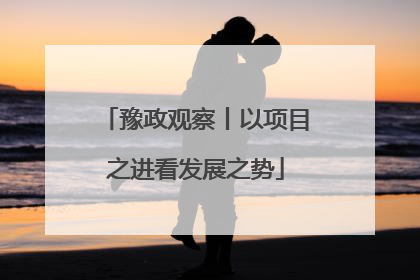 豫政观察丨以项目之进看发展之势