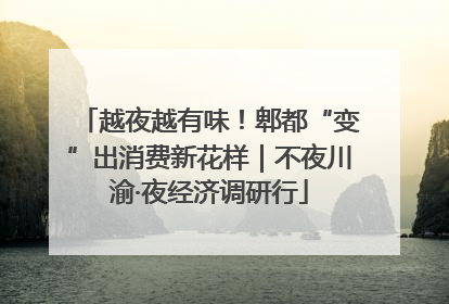越夜越有味！郫都“变”出消费新花样｜不夜川渝·夜经济调研行