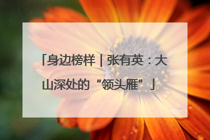 身边榜样｜张有英：大山深处的“领头雁”