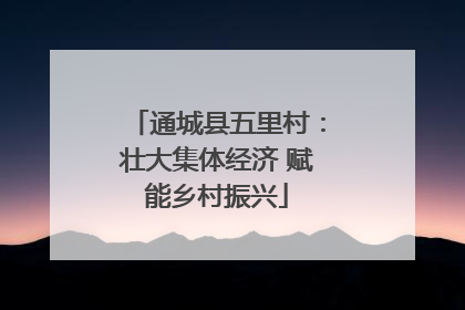 通城县五里村：壮大集体经济 赋能乡村振兴