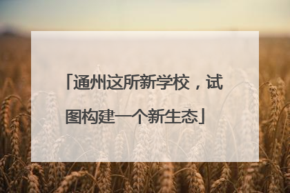 通州这所新学校，试图构建一个新生态