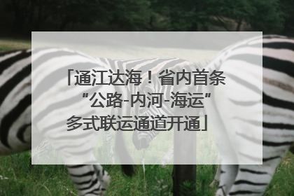 通江达海！省内首条“公路-内河-海运”多式联运通道开通