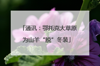 通讯：鄂托克大草原为山羊“脱”冬装
