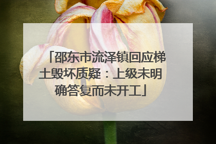 邵东市流泽镇回应梯土毁坏质疑：上级未明确答复而未开工