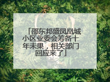 邵东邦盛凤凰城小区业委会筹备十年未果，相关部门回应来了