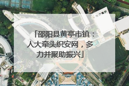 邵阳县黄亭市镇：人大牵头织安网，多力并聚助振兴