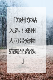 郑州东站入选！郑州人可带宠物猫狗坐高铁