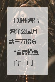 郑州海昌海洋公园月薪三万招募“首席摸鱼官”！