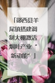 郧西县羊尾镇搭建调制大棚激活烟叶产业“新动能”