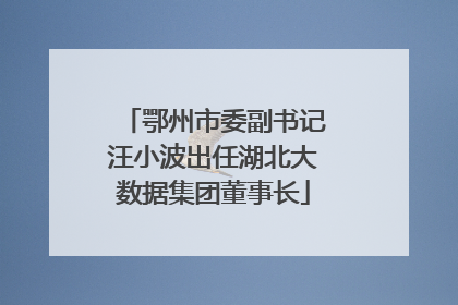 鄂州市委副书记汪小波出任湖北大数据集团董事长
