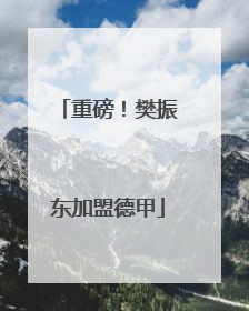 重磅！樊振东加盟德甲
