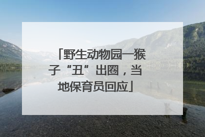 野生动物园一猴子“丑”出圈，当地保育员回应