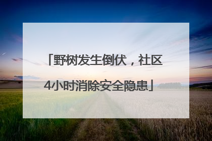 野树发生倒伏，社区4小时消除安全隐患