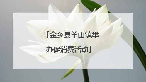 金乡县羊山镇举办促消费活动