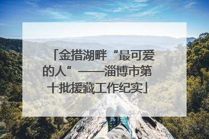 金措湖畔“最可爱的人”——淄博市第十批援藏工作纪实