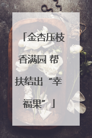 金杏压枝香满园 帮扶结出“幸福果”