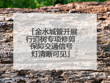 金水城管开展行道树专项修剪 保障交通信号灯清晰可见