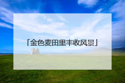 金色麦田里丰收风景