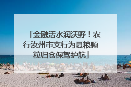金融活水润沃野！农行汝州市支行为夏粮颗粒归仓保驾护航