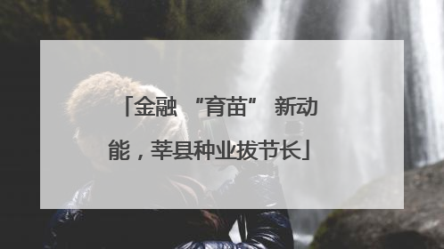 金融 “育苗” 新动能，莘县种业拔节长