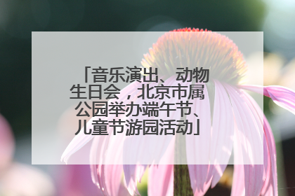 音乐演出、动物生日会，北京市属公园举办端午节、儿童节游园活动