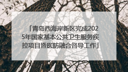 青岛西海岸新区完成2025年国家基本公共卫生服务疾控项目暨医防融合督导工作