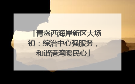 青岛西海岸新区大场镇：综治中心强服务，和谐港湾暖民心