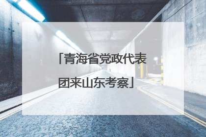 青海省党政代表团来山东考察
