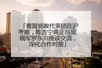 青海党政代表团在沪考察，陈吉宁龚正与吴晓军罗东川座谈交流，深化合作对接