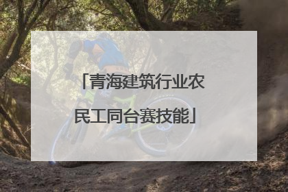青海建筑行业农民工同台赛技能