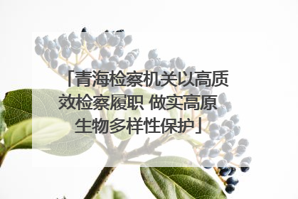 青海检察机关以高质效检察履职 做实高原生物多样性保护