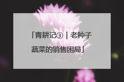 青耕记③｜老种子蔬菜的销售困局