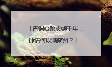 青铜心跳震颤千年，钟情何以满随州？