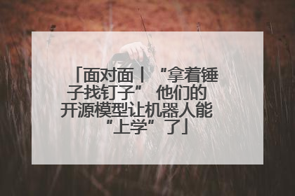 面对面丨“拿着锤子找钉子” 他们的开源模型让机器人能“上学”了