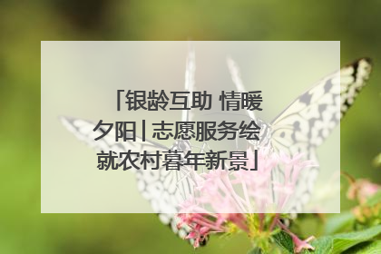 银龄互助 情暖夕阳│志愿服务绘就农村暮年新景