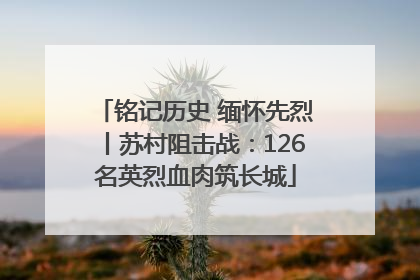 铭记历史 缅怀先烈丨苏村阻击战：126名英烈血肉筑长城