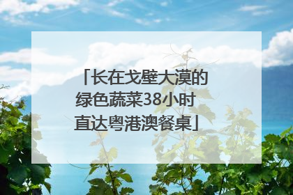 长在戈壁大漠的绿色蔬菜38小时直达粤港澳餐桌