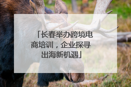 长春举办跨境电商培训，企业探寻出海新机遇