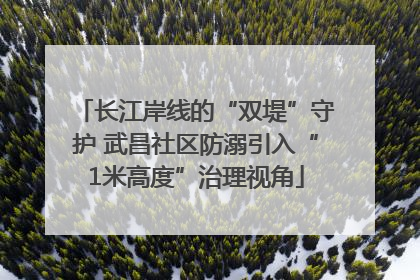 长江岸线的“双堤”守护 武昌社区防溺引入“1米高度”治理视角