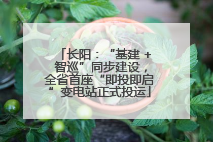 长阳：“基建 + 智巡”同步建设，全省首座“即投即启”变电站正式投运