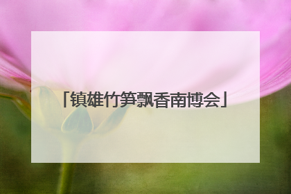 镇雄竹笋飘香南博会