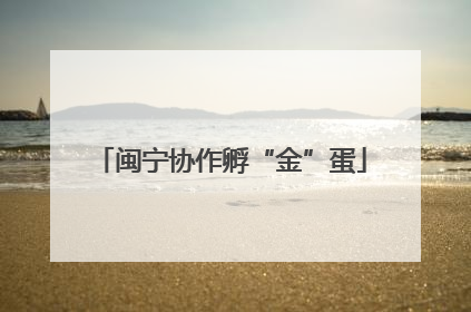 闽宁协作孵“金”蛋
